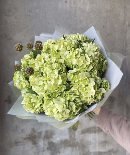 Green hydrangea bouquet
