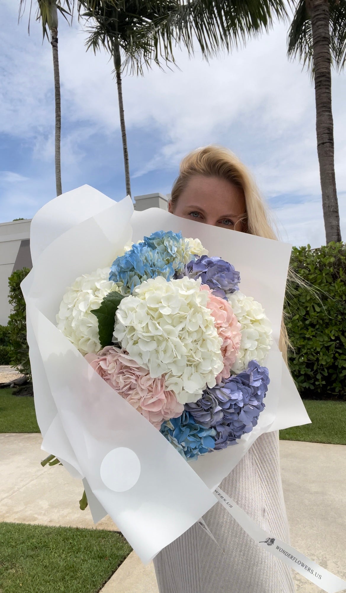 Marshmallow Hydrangea cloud