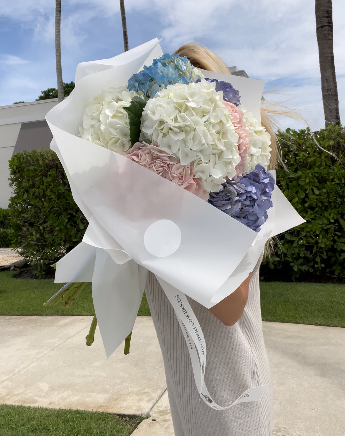 Marshmallow Hydrangea cloud