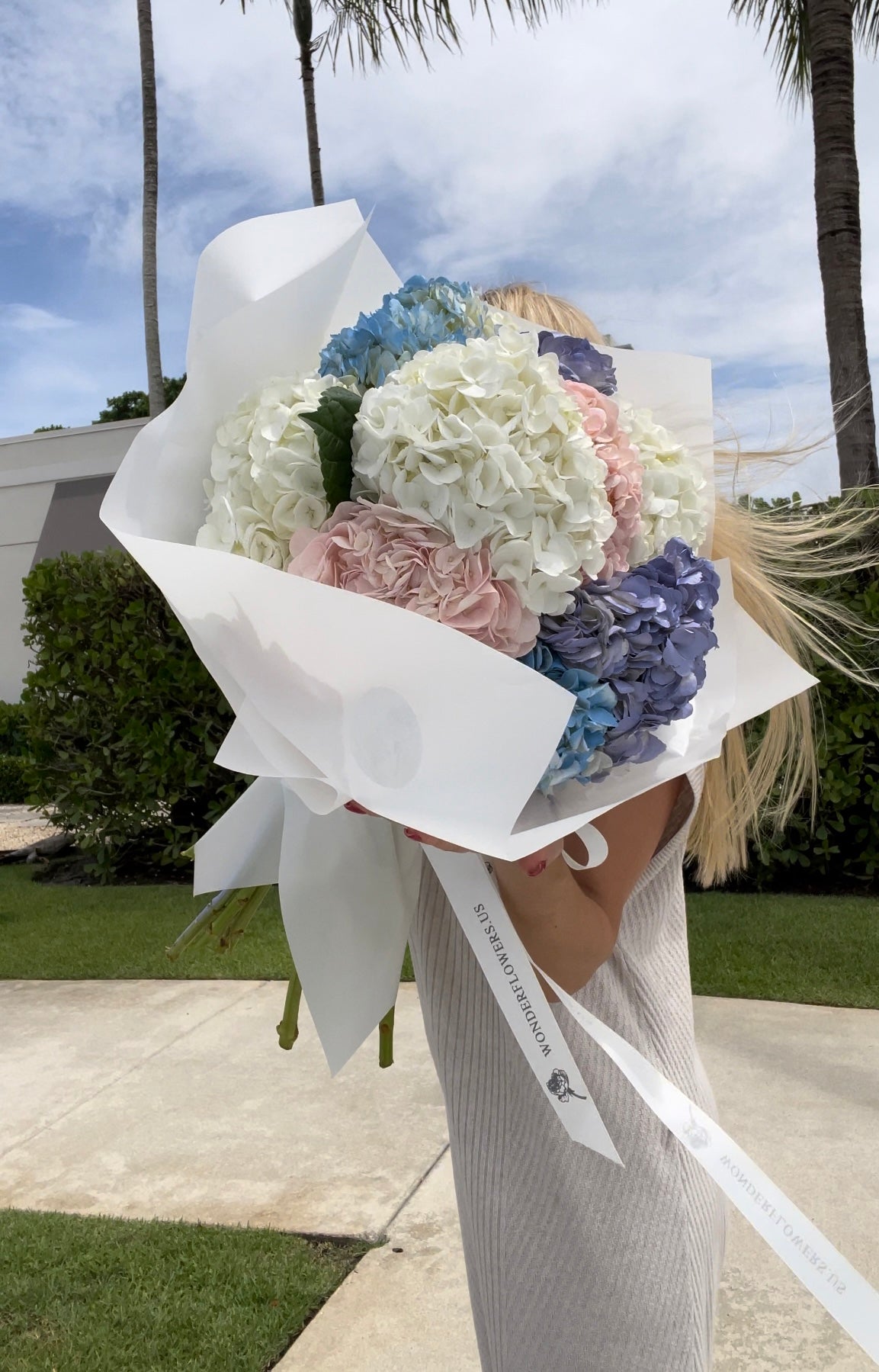 Marshmallow Hydrangea cloud