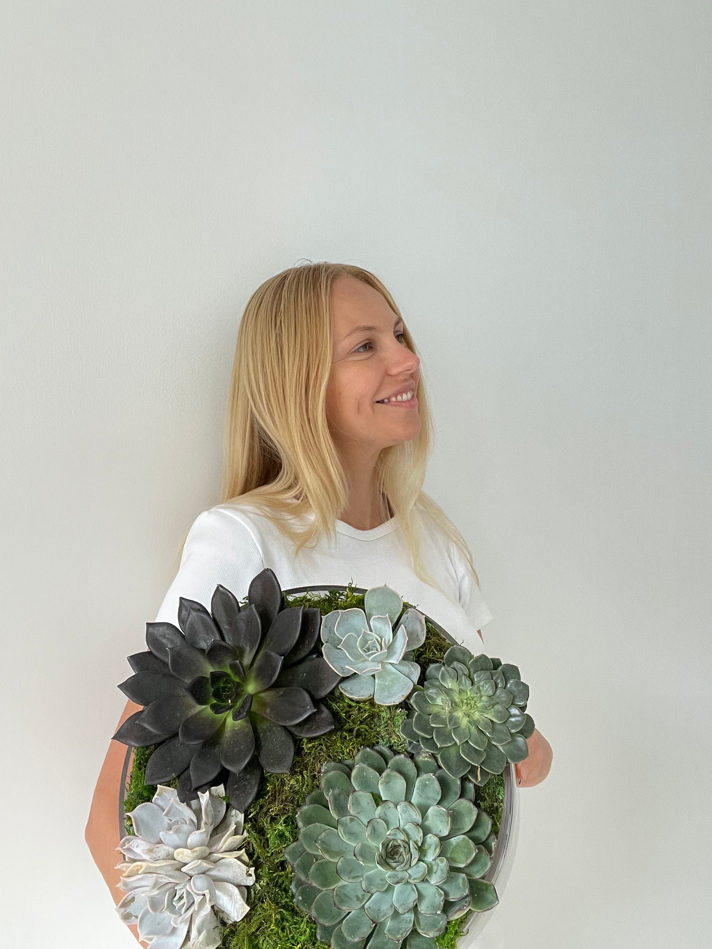 Succulents Garden arrangement