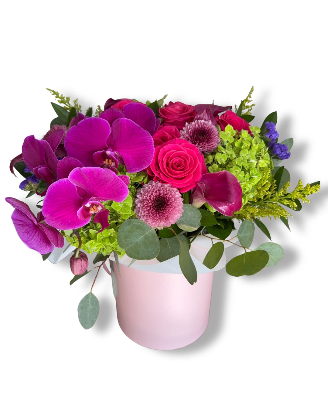 Pink Orchid Symphony