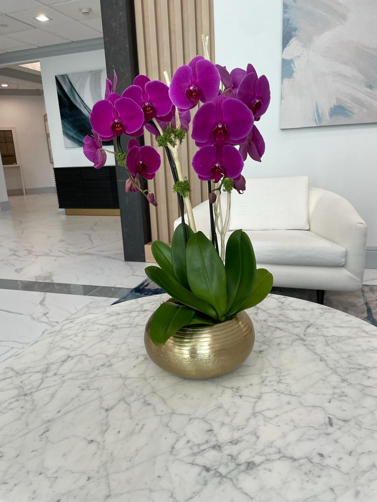 Pink Double Orchid in a custom vase