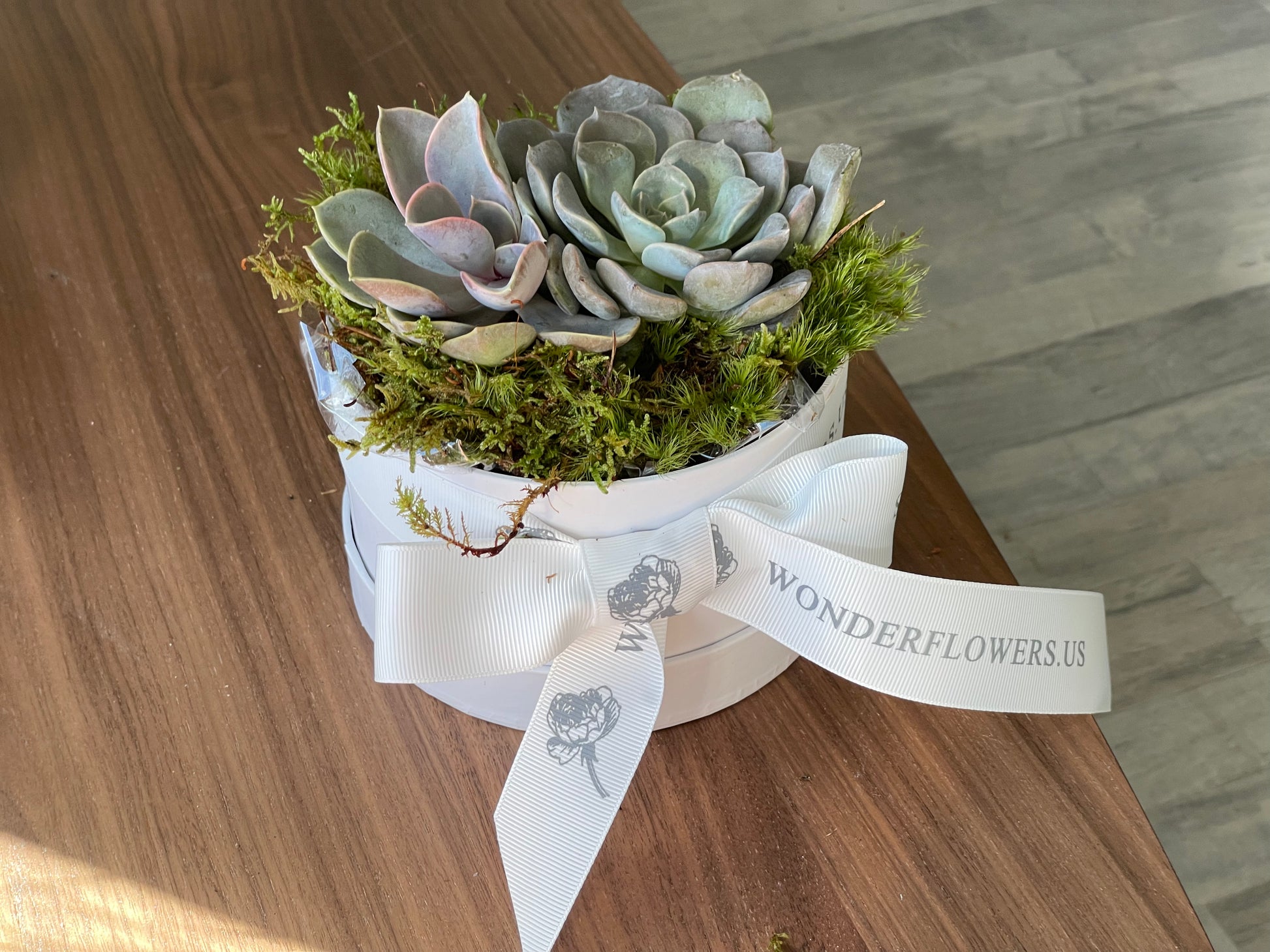 succulent ribbon Chic Succulent Treasure