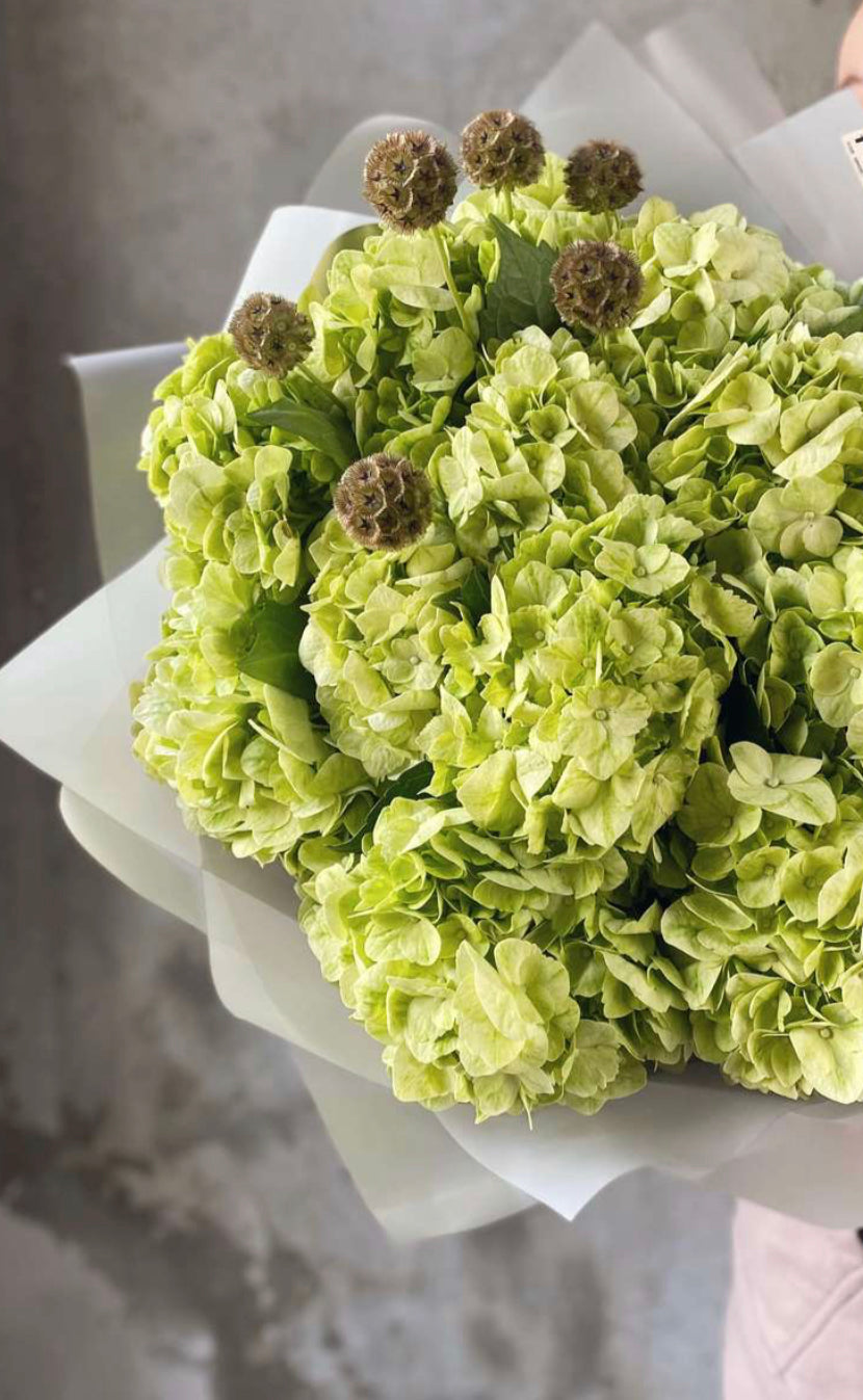 Green hydrangea bouquet