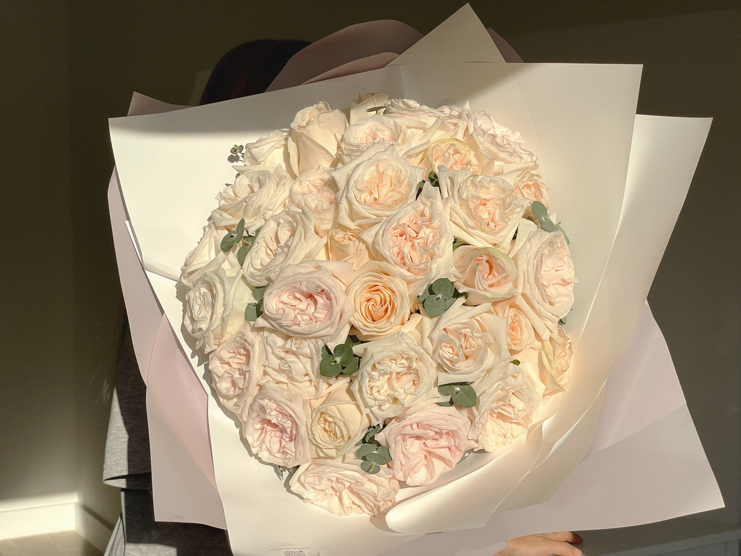White O`Hara Roses